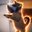 VRCAT