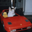 Rari
