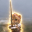 swordcat