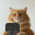 Snapcat