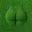 GRASS