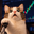 LEVERCAT