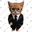 STOCKCAT