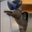 VRCAT