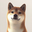 OPENINU
