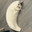 MOONCAT