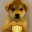 inu
