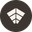 CHIP