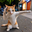 KCAT